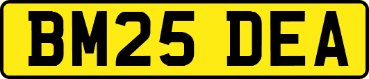 BM25DEA
