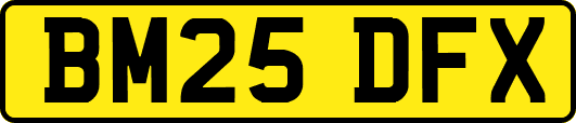 BM25DFX