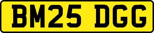 BM25DGG