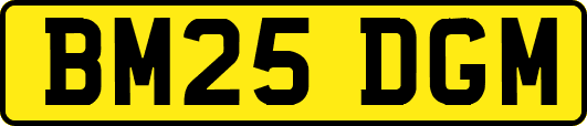 BM25DGM