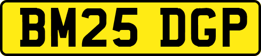 BM25DGP