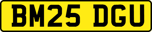 BM25DGU