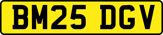 BM25DGV
