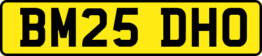 BM25DHO