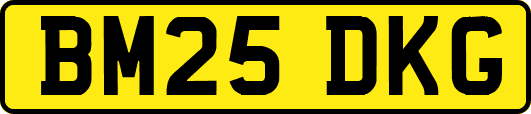 BM25DKG
