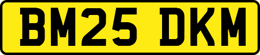 BM25DKM