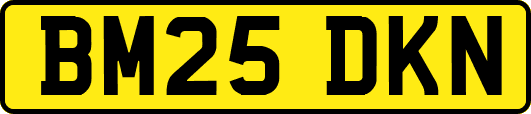 BM25DKN