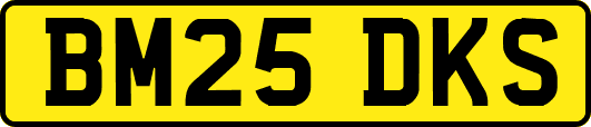 BM25DKS