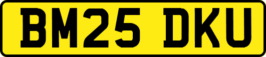 BM25DKU