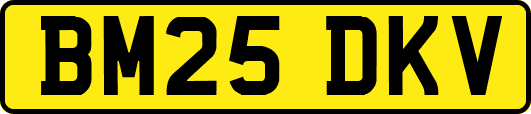 BM25DKV
