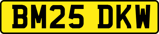 BM25DKW