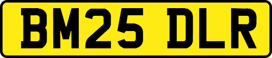 BM25DLR