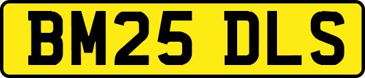 BM25DLS