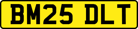 BM25DLT
