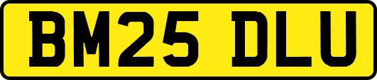 BM25DLU