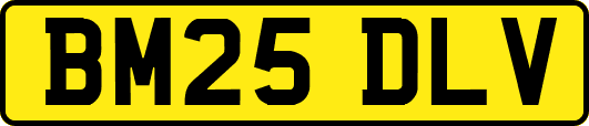 BM25DLV