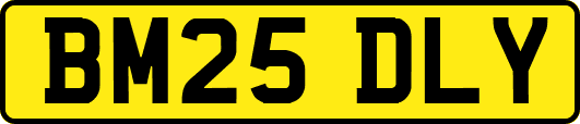 BM25DLY