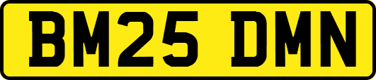 BM25DMN