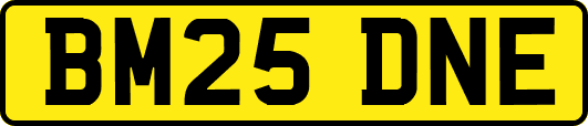 BM25DNE