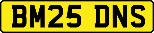 BM25DNS