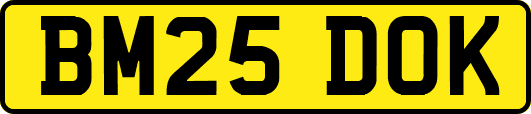 BM25DOK