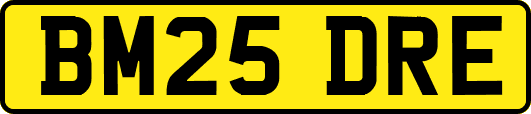 BM25DRE