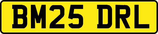 BM25DRL