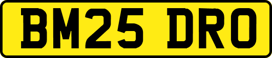 BM25DRO