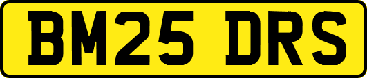 BM25DRS