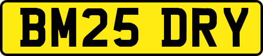 BM25DRY
