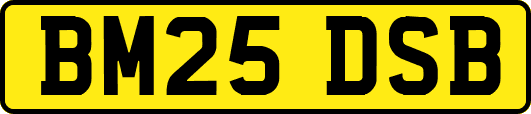 BM25DSB