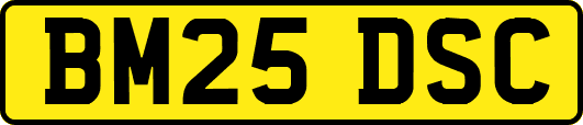 BM25DSC