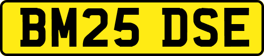 BM25DSE