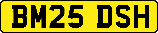 BM25DSH