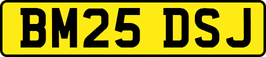 BM25DSJ