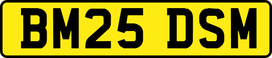 BM25DSM