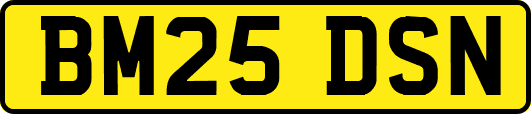 BM25DSN