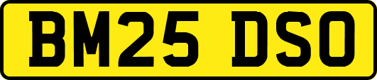 BM25DSO