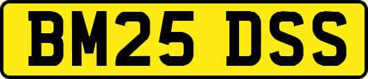 BM25DSS
