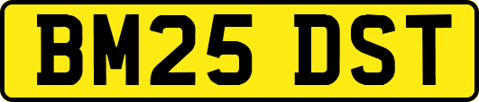 BM25DST