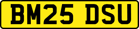 BM25DSU