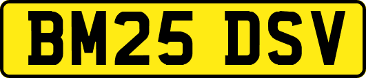 BM25DSV