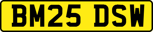 BM25DSW