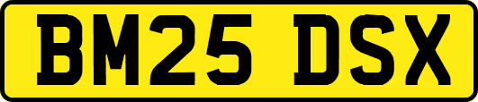 BM25DSX