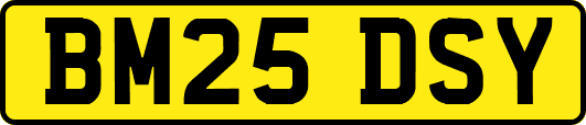 BM25DSY
