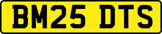 BM25DTS