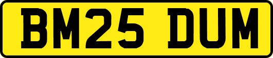 BM25DUM