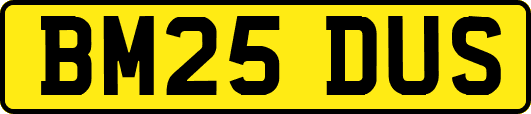 BM25DUS