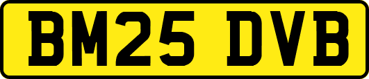BM25DVB