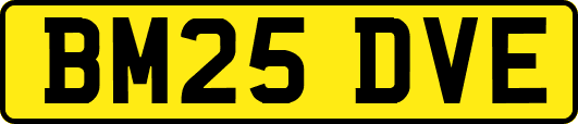 BM25DVE